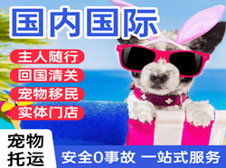 泰州航空运输国际宠物托运 【国